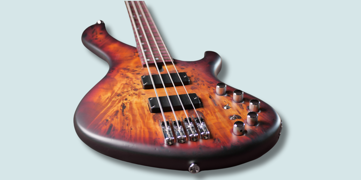 Maruszczyk Instruments Frog Omega 4a 2 Tone Sunburst - Imagen 6