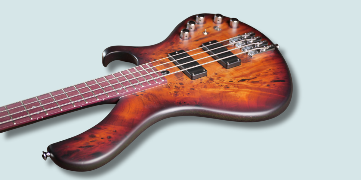 Maruszczyk Instruments Frog Omega 4a 2 Tone Sunburst - Imagen 5