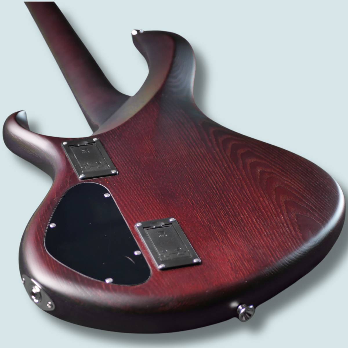 Maruszczyk Instruments Frog Omega 4a 2 Tone Sunburst - Imagen 2